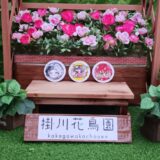 【番外編】そうだ、掛川いこう！