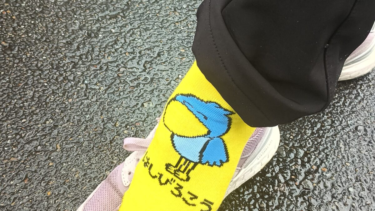 今日のレッドペンギンズ便り〜！12月21日