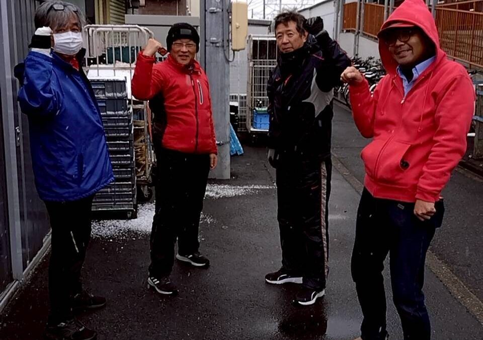 今日のレッドペンギンズ便り〜！1月25日