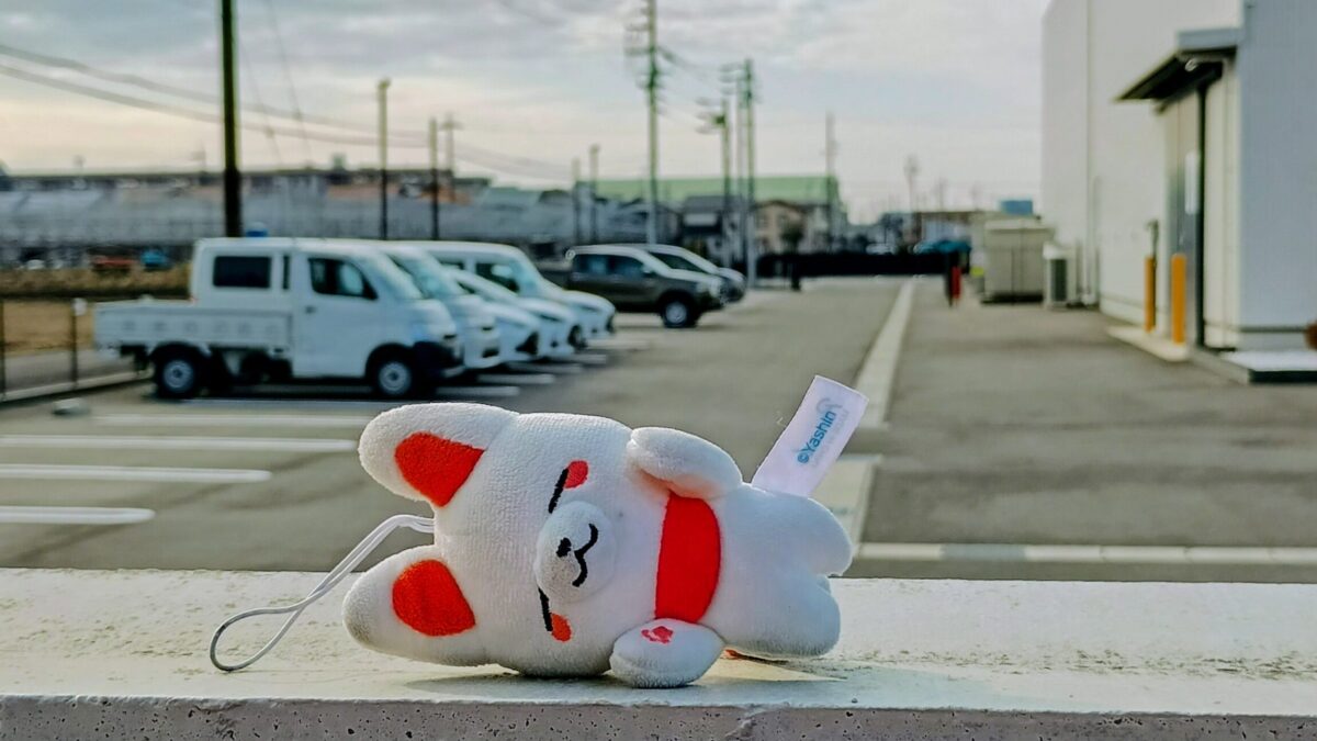 今日のレッドペンギンズ便り〜！2月15日