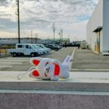 今日のレッドペンギンズ便り〜！2月15日